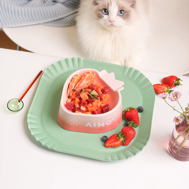 Aino Strawberry Feeding Bowl
