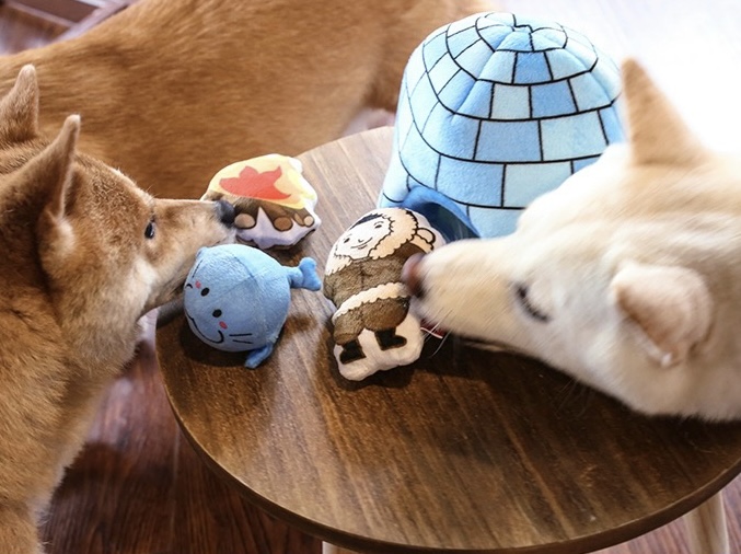 Engaging Canine Minds: Unraveling the Wonders of Dog Puzzle Toys